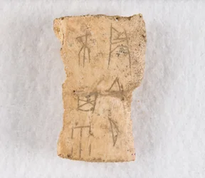Inscribed Bone Fragment Oracle Bone