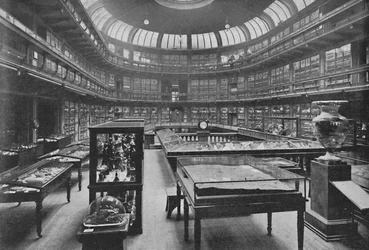 Interior of the Geological Museum, Jermyn Street