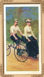 Invincible Tandem Tricycle