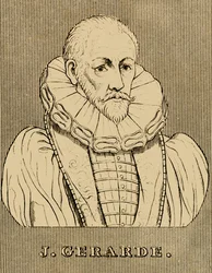 J. Gerarde