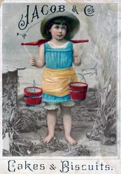 Jacob and Cos. Cakes & Biscuits. Advertising Postcard