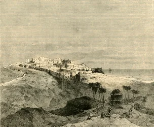 Jaffa