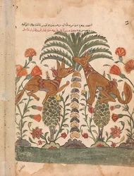 Kalila Upbraiding Dimna, Folio from a Kalila wa Dimna, 18th Century