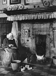 Kitchen and living-room in one, Twente, Netherlands