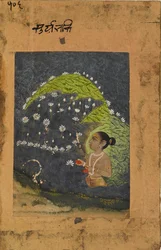 Lady in a Lotus Lake Worshipping the Sun