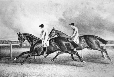 Launcelot and Maroon, c. 1840s, 1911