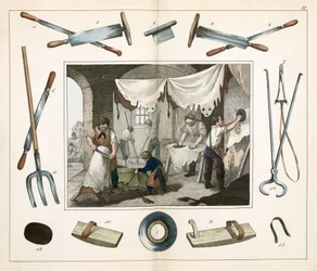 Leather, Hide & Fur Industry: The tanner