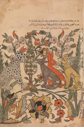 Leopard Bearing Lion