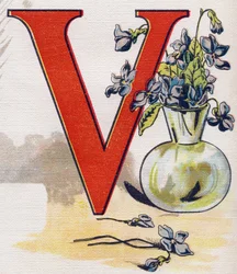 Letter V: Vase with Violets