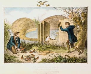 Lincolnshire Duck Decoy, c. 1845