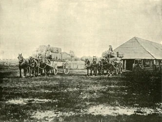 Loading Wool, Warrawooh Station, Wimmera, 1901
