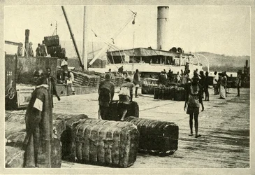 Loading a Cargo of Cotton, c1948