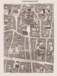 London Actually Surveyed