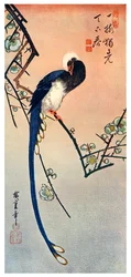 Long Tailed Blue Bird on Branch of Plum Tree in Blossom, 19th century 1925