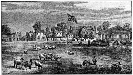 Lords cricket ground, London