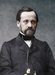 Louis Pasteur, French Microbiologist and Chemist