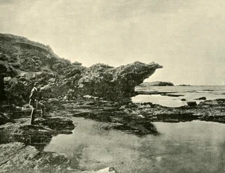 Low Tide, Shelly Beach, Warrnambool, 1901