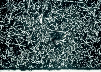 Metals, Non-Ferrous, Tin-Based Bearing Alloy