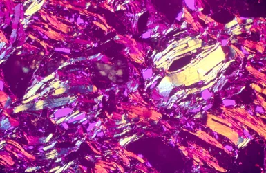 Magnesia Refractory