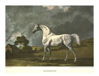 Mambrino, c1779, c1955