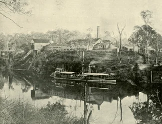 Meat Works, near Grafton, New South Wales