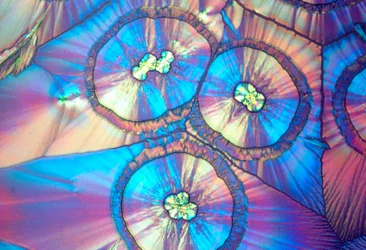 Ascorbic Acid, Light Micrograph