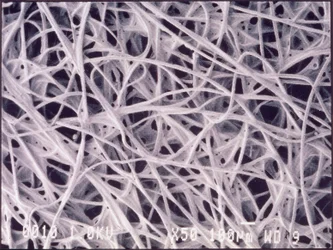Micrographs Chemotextile Cloth