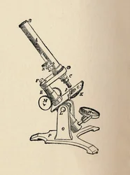 Microscope
