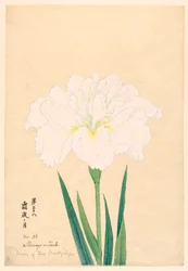 Moon of the Frosty Night, No. 38, ca. 1910