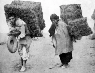 Natives of Mexico