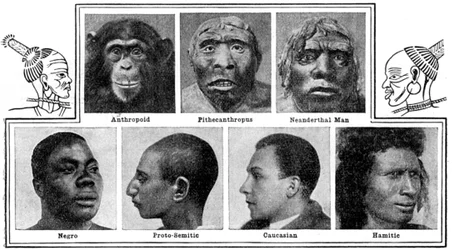 Natures evolutionary designs in noses