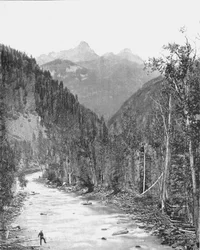 Needle Mountains, Canyon of the Rio de las Animas, Colorado, USA