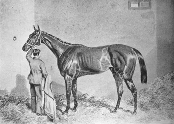 Newminster, 1848-1868