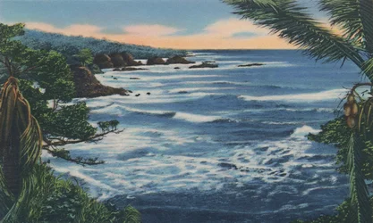 North Coast, Trinidad, B.W.I.