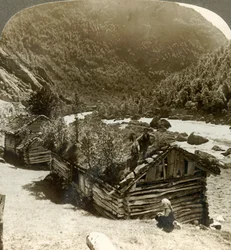 Old Log Houses in Bratslandsdal, with Trees Growing on Sod-covered Roofs, Norway