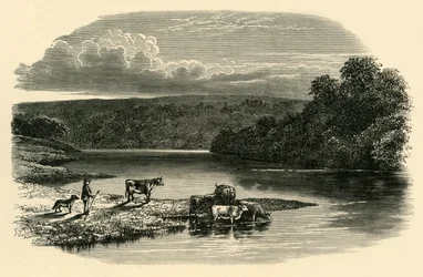 On the Dee