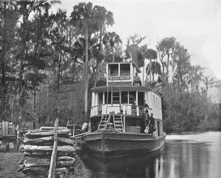 On the Ocklawaha River, Florida, USA