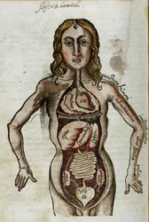 Figure of a man with his internal organs exposed