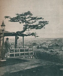 Overlooking Modern Tokyo, 1907