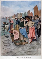 Oyster seller