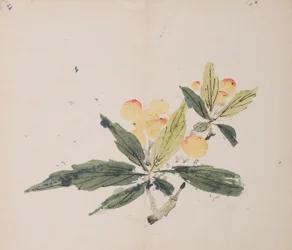 Page from Shi Zhu Zhai