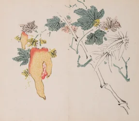 Page from Shi Zhu Zhai