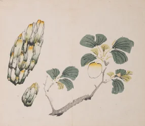 Page from Shi Zhu Zhai