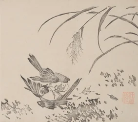 Page from Shi Zhu Zhai