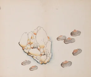 Page from Shi Zhu Zhai