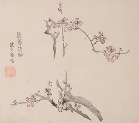 Page from Shi Zhu Zhai