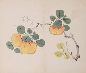 Page from Shi Zhu Zhai