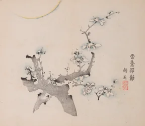 Page from Shi Zhu Zhai
