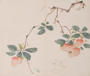 Page from Shi Zhu Zhai