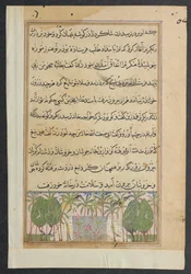 Page from Tales of a Parrot Tuti-nama: Eighth Night: Landscape with a Lotus Pool